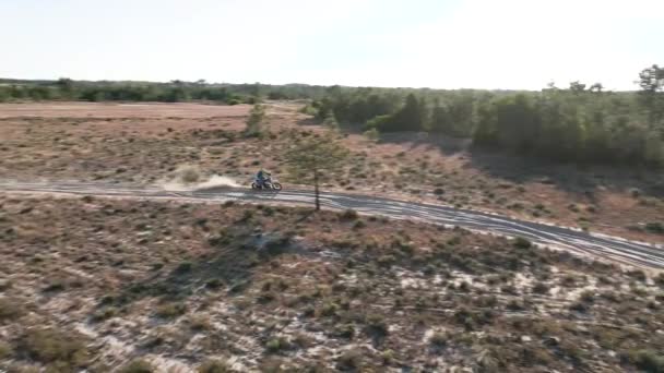 Воздушный Беспилотник Видом Мотоцикл Эндуро Проезжающий Тропинке Песчаной Тропе Сосновом — стоковое видео