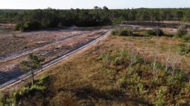 Enduro motorsikletlerinden birinin patikadan geçerken ya da çam ağaçlarının bulunduğu alanda kırsal alandaki yol eğitiminde çekilmiş hava aracı görüntüsü. Adrenalin yoğunluğu eğlencesi.