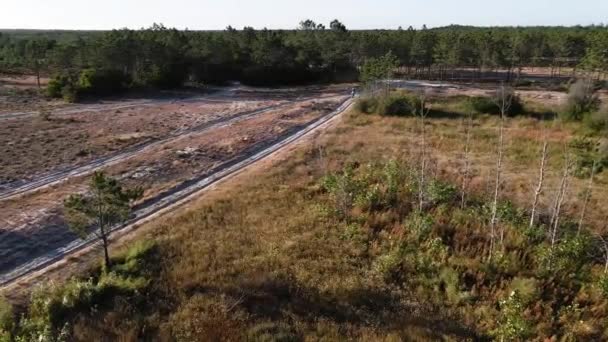 Vue aérienne par drone d'une moto enduro traversant un sentier ou un sentier sablonneux sur un champ de pins pendant un entraînement hors route à la campagne. Adrénaline rush fun.