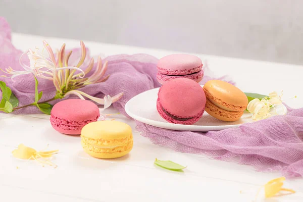 Uma Iguaria Doce Francesa Macaroons Variedade Closeup Cor Macarrons Frescos — Fotografia de Stock