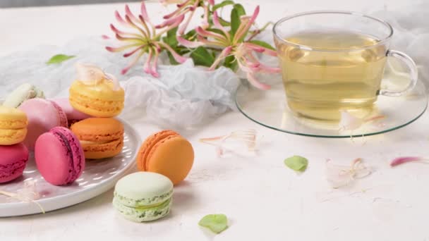 Egy Francia Édes Finomság Macaroons Változatos Közelkép Színes Friss Macaroons — Stock videók