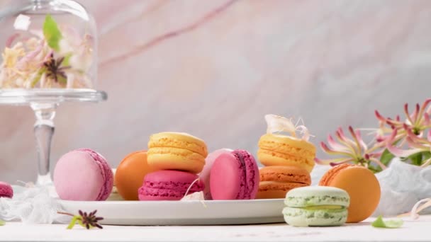 Μια Γαλλική Γλυκιά Λιχουδιά Μακαρονάδες Ποικιλία Closeup Χρώμα Φρέσκα Αμυγδαλωτά — Αρχείο Βίντεο
