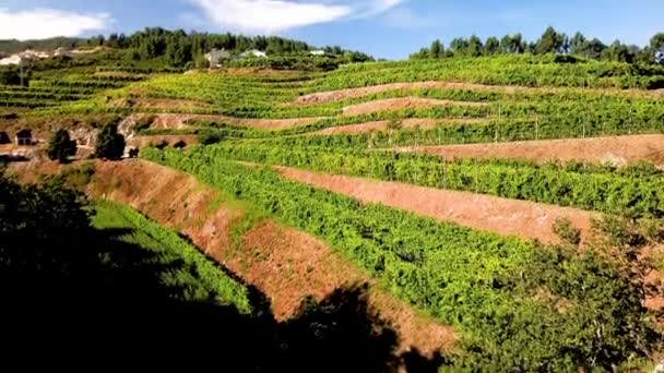 Vista Desde Sendero Ciclista Amarante Sobre Valle Portugal Cuenta Con — Vídeo de stock