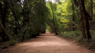 Portekiz 'in Caldas da Rainha şehrinde yer alan Rainha D. Leonor Ormanı, I. Carlos parkıyla sınırdır ve biyolojik çeşitliliği ve güzelliği ile tanımlanır..