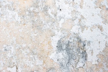 Beyaz boyalı eski bir duvar. Eski desenli beton duvar beyaza boyanmış.