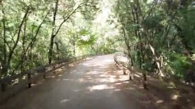 Portekiz 'deki Amarante Bisiklet Patikası' nda bisiklet sürerken çekilmiş bir bakış açısı. Bisiklet pistine ve doğal manzaraya geniş bir açıdan bakıyor..