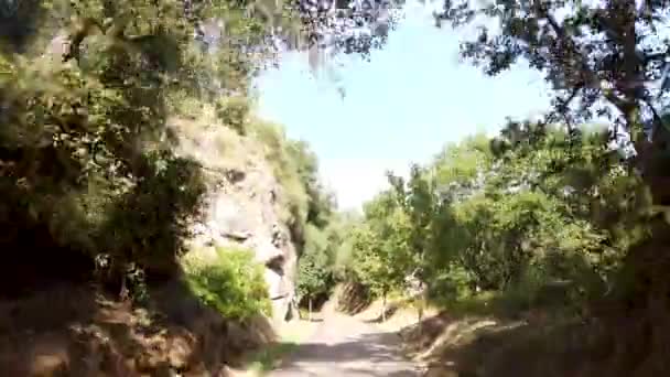 Point View Shot Riding Bicycle Amarante Cycling Trail Portugal Features — Stock Video