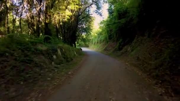 在葡萄牙的Amarante自行车道上骑自行车的镜头 介绍自行车道的全景和它旅行时的自然景观 — 图库视频影像