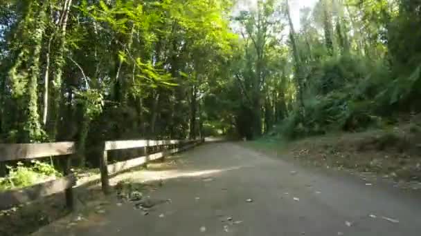在葡萄牙的Amarante自行车道上骑自行车的镜头 介绍自行车道的全景和它旅行时的自然景观 — 图库视频影像