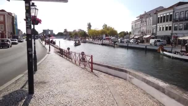 Aveiro Portugal Circa August 2020 Turiștii Care Plimbă Canalul Principal — Videoclip de stoc