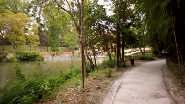 Aveiro Portugal Circa Augus2018 2020 정원에서 백합화의 전망대 다리와 낭만적 — 비디오