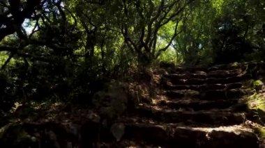 Çarmıha giden yol, çarmıhtan geçiyor. Portekiz 'deki Luso, Mealhada, Aveiro' daki Bussaco antik ormanlarında..