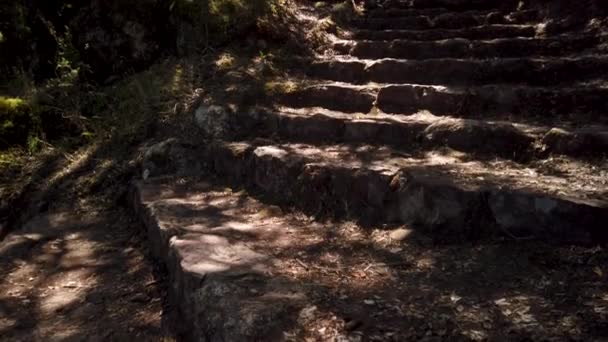 Útban Kereszt Keresztül Crucis Ösvény Ősi Erdők Bussaco Luso Mealhada — Stock videók