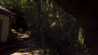 LUSO, PORTUGAL - CIRCA AĞUSTOS 2020: haça giden yol, çarmıha gerilen yol, Bussaco antik ormanı, Luso, Mealhada, Portekiz Aveiro.