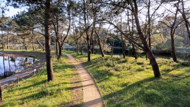 Bucaquinho Tabiat Parkı, Ovar, Portekiz kuzeyinde doğal görünümünü.