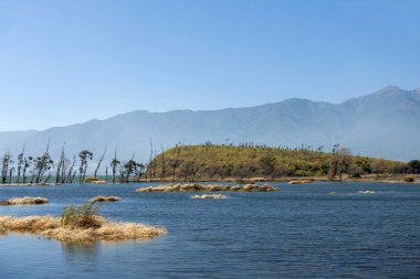 göl ve ağaçlar, mavi gökyüzü ve beyaz bulutlar