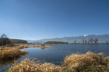 göl ve ağaçlar, mavi gökyüzü ve beyaz bulutlar