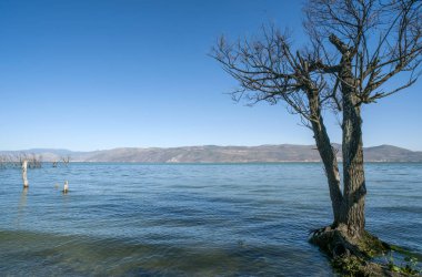 göl ve ağaçlar, mavi gökyüzü ve beyaz bulutlar