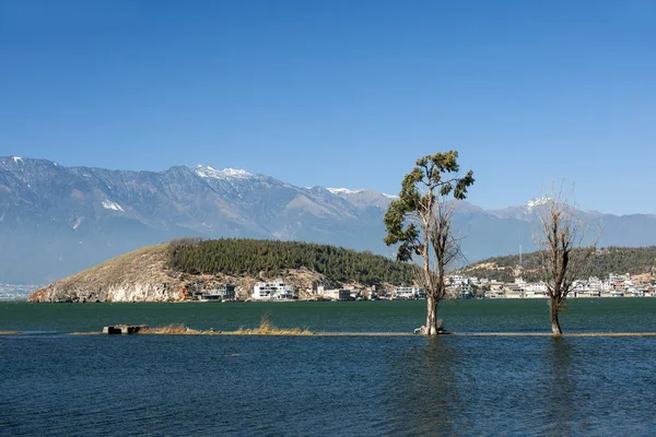 Lago Los Árboles Cielo Azul Las Nubes Blancas — Foto de Stock