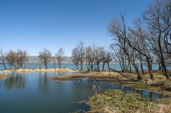 Jezero Stromy Modrou Oblohu Bílé Mraky — Stock fotografie