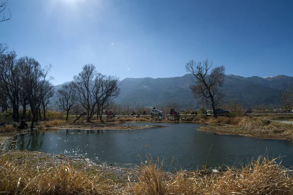 Jezero Stromy Modrou Oblohu Bílé Mraky — Stock fotografie