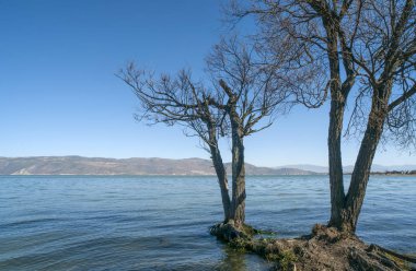 göl ve ağaçlar, mavi gökyüzü ve beyaz bulutlar