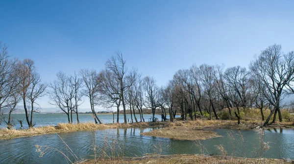 Jezero Stromy Modrou Oblohu Bílé Mraky — Stock fotografie