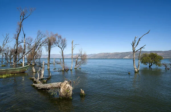 Jezero Stromy Modrou Oblohu Bílé Mraky — Stock fotografie