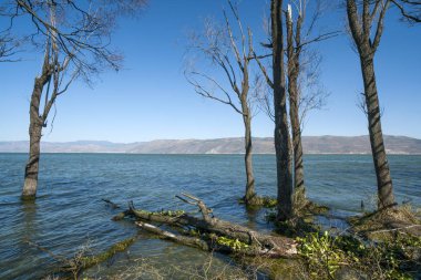 göl ve ağaçlar, mavi gökyüzü ve beyaz bulutlar
