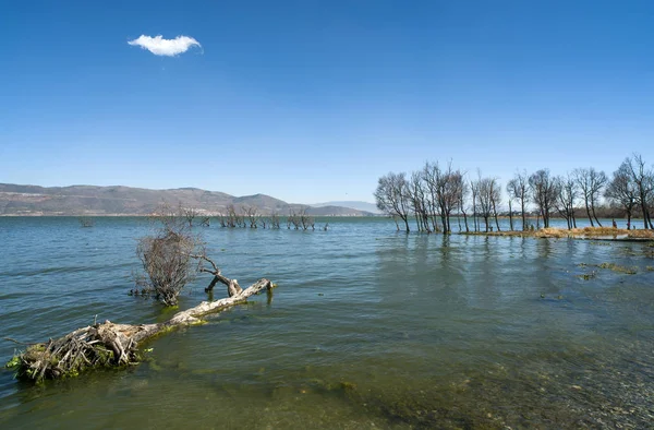 Jezero Stromy Modrou Oblohu Bílé Mraky — Stock fotografie