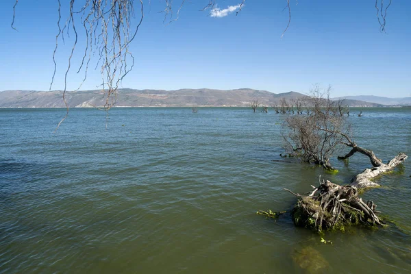 Lago Los Árboles Cielo Azul Las Nubes Blancas — Foto de Stock