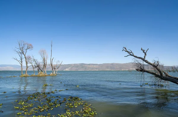 Jezero Stromy Modrou Oblohu Bílé Mraky — Stock fotografie