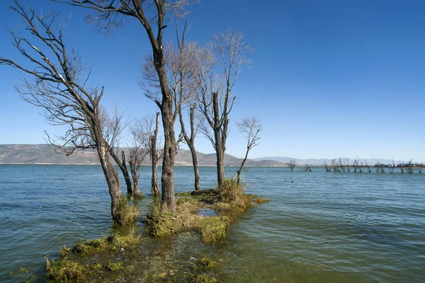 Jezero Stromy Modrou Oblohu Bílé Mraky — Stock fotografie