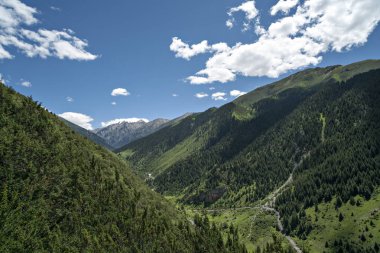Yeşil dağlar ve ağaç, mavi gökyüzü ve beyaz bulutlar