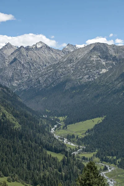 Gröna Berg Och Träd Blå Himmel Och Vita Moln — Stockfoto