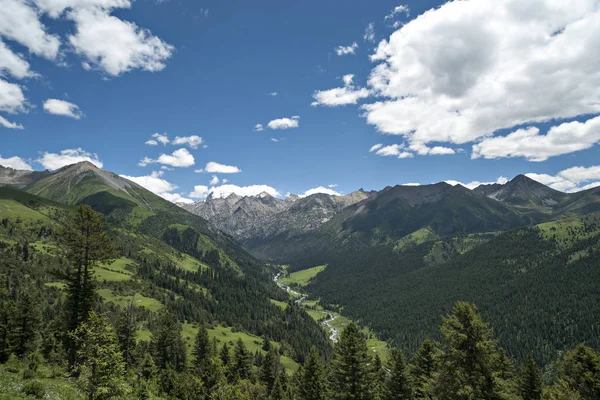 Montañas Árboles Verdes Cielo Azul Nubes Blancas — Foto de Stock