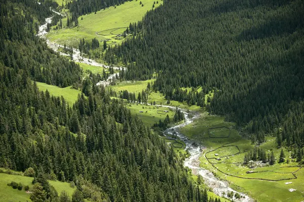 Green Mountains Tree Blue Sky White Clouds — Stock Photo, Image