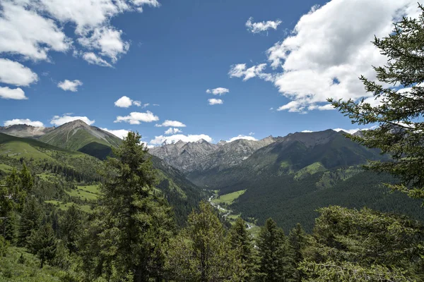 Καταπράσινα Βουνά Και Δέντρο Μπλε Ουρανό Και Άσπρα Σύννεφα — Φωτογραφία Αρχείου