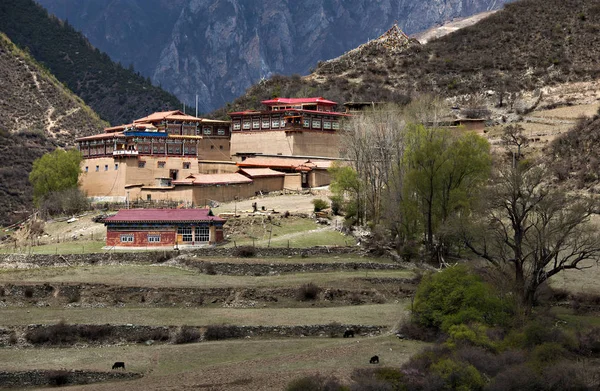 Templo Del Budismo Tibetano Con Tapa Oro Del Color Montaña — Foto de Stock