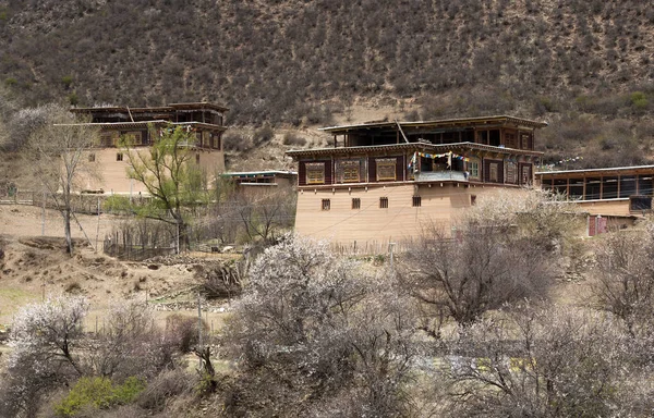 西藏佛教寺庙与颜色金子顶山 — 图库照片