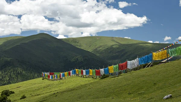 Tempio Del Buddismo Tibetano Con Cima Color Oro Montagna — Foto Stock