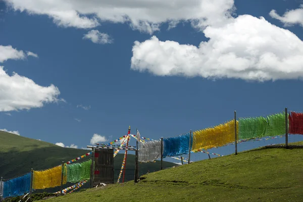 Tapınak Tibet Budizmi Ile Renk Altın Tepe Dağ — Stok fotoğraf