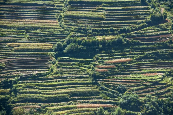 the terrace fields, village houses in the mountain.