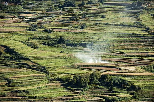 the terrace fields, village houses in the mountain.