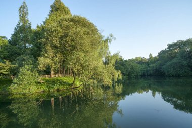 gün batımında göl suyu, söğüt catkins ve bulutlu gökyüzü ile renkli dramatik manzara.