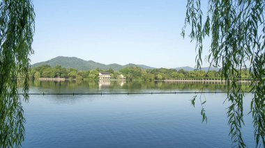 gün batımında göl suyu, söğüt catkins ve bulutlu gökyüzü ile renkli dramatik manzara.