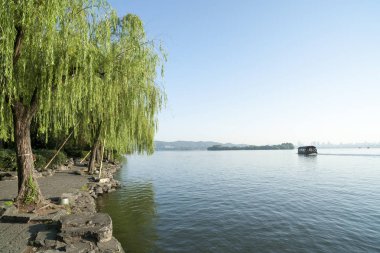 gün batımında göl suyu, söğüt catkins ve bulutlu gökyüzü ile renkli dramatik manzara.