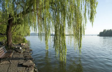 gün batımında göl suyu, söğüt catkins ve bulutlu gökyüzü ile renkli dramatik manzara.