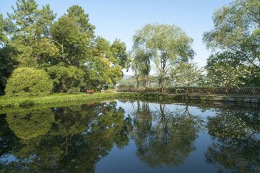 gün batımında göl suyu, söğüt catkins ve bulutlu gökyüzü ile renkli dramatik manzara.