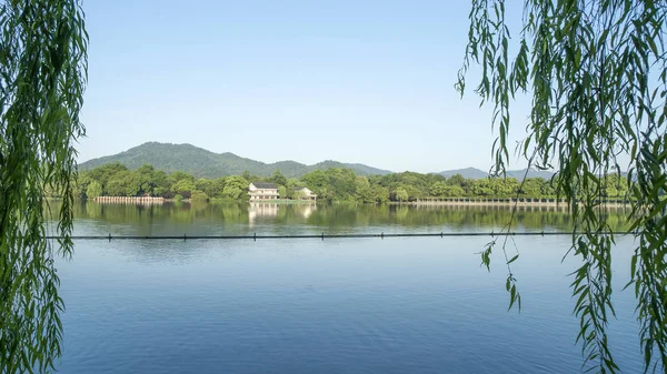 gün batımında göl suyu, söğüt catkins ve bulutlu gökyüzü ile renkli dramatik manzara.